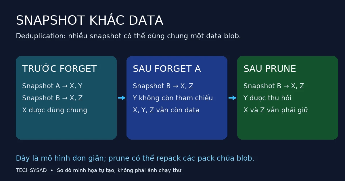 Sơ đồ snapshot A và B dùng chung blob X; forget A rồi prune chỉ thu hồi blob Y không còn tham chiếu